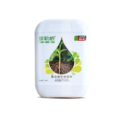 低價滯銷與土壤改良 從困境中尋找種植業的新出路